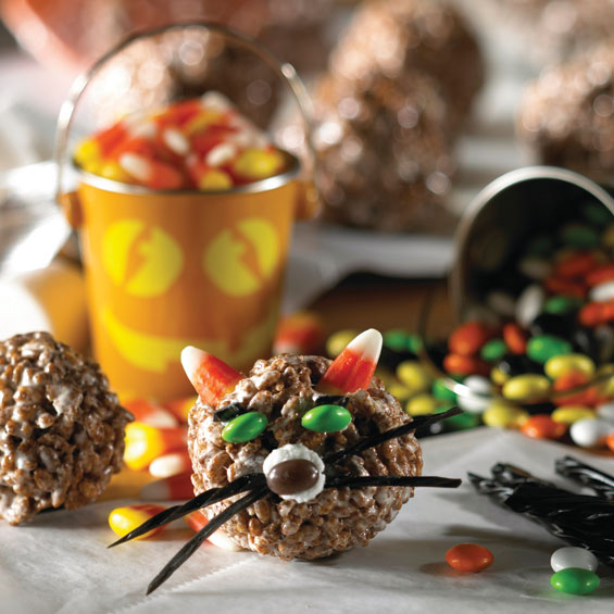 RK_CocoaHallCat_r.jpg1500-1379082124746