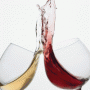 The Advanced Oenophile – A helpful new guide for all wine aficionados