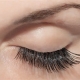 Bella Spatique Lashes
