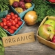 Pesticides Linked to Health Problems
