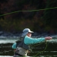 Fly Fishing Paradise