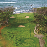 t_IMG-Golf07337_Copy99614