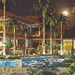 t_PINILLACC3 copy293_Cop99616