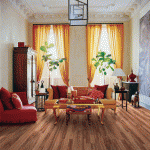 Casual-Living-Exotics-Australian-Eucalyptus