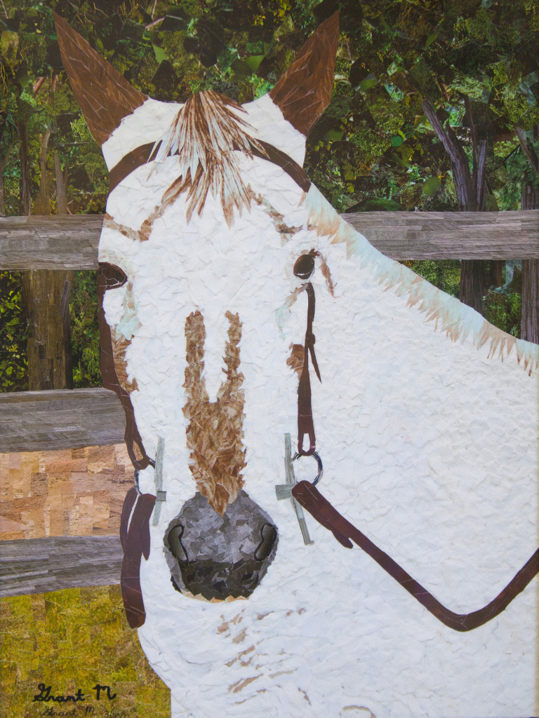  Grant created this artwork through inspiration from a horse he rides for his autism therapy, named Dhan Zhao. He used recycled poster board, magazines, books, and calendars and collaged on foam board. Grant's artwork won Grand Champion in the 2011 Austin Eco-Art Rodeo Exhibit