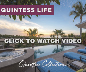 Quintess-_Vid_WebAd