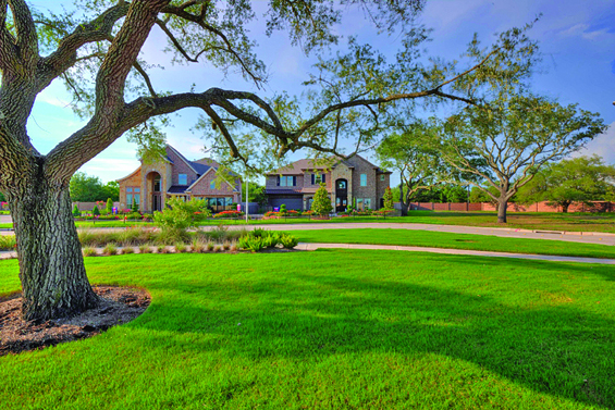 Houston home builder Taylor Morrison and land developer Johnson Development Services have worked to save a stately stand of live oak trees dating back more than 50 years in Fort Bend County. (PRNewsFoto/Taylor Morrison)