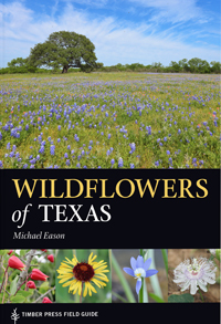 Wildflowers-fo-Tx